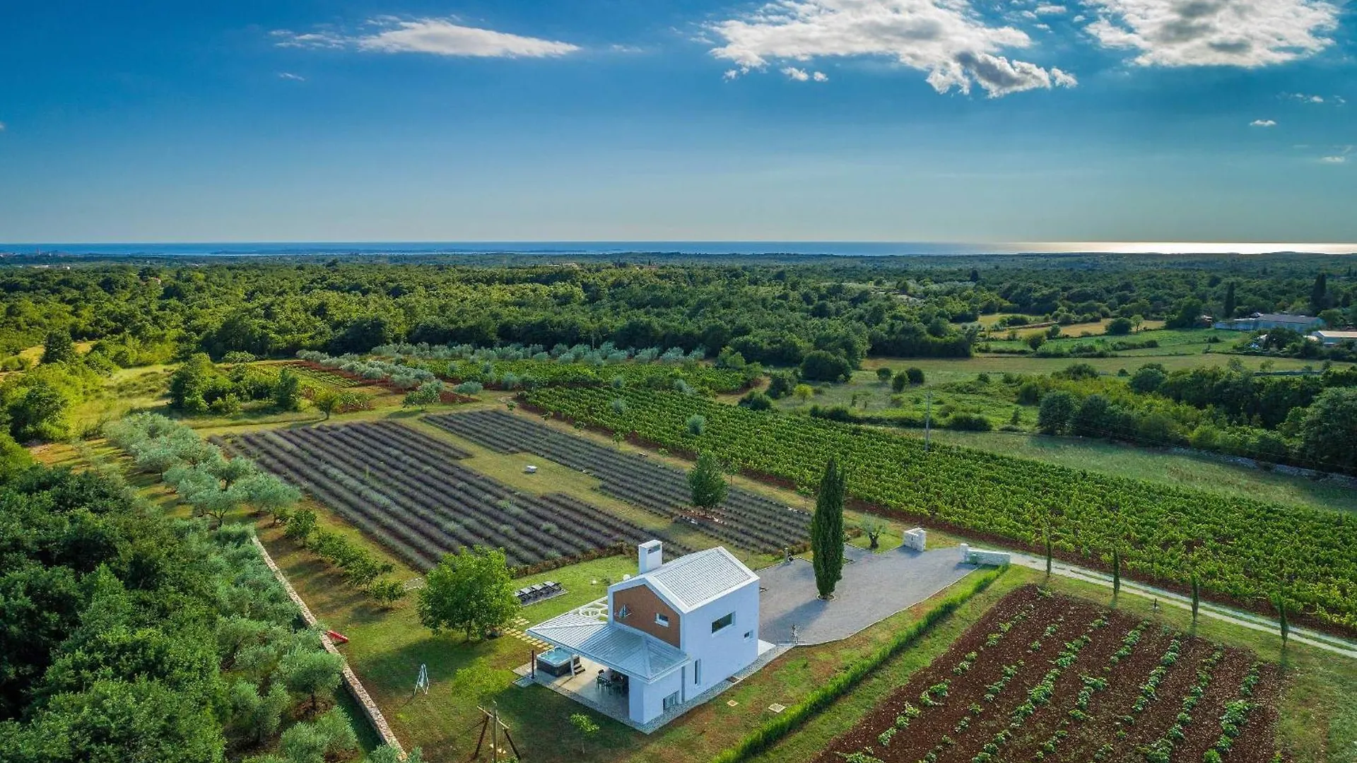 Holiday House Brajdine Lounge Jursici Croatia