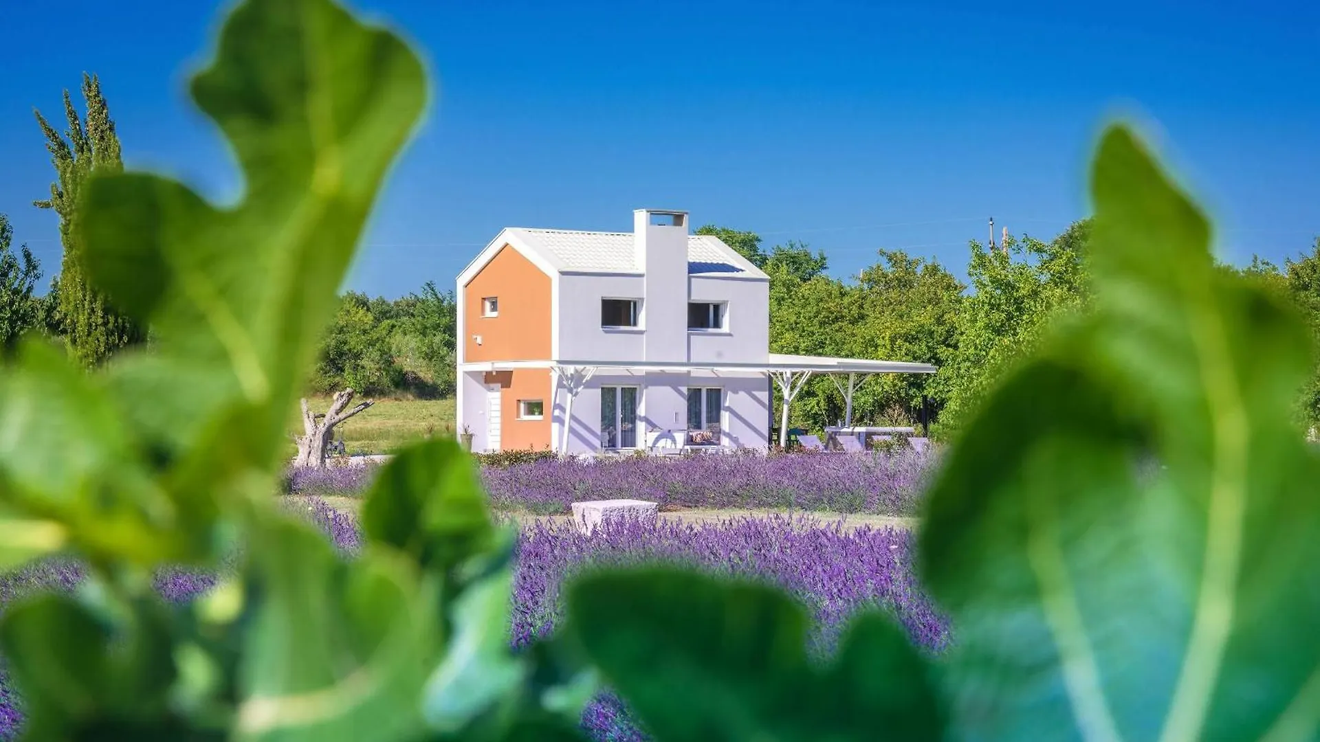 Holiday home Holiday House Brajdine Lounge Jursici